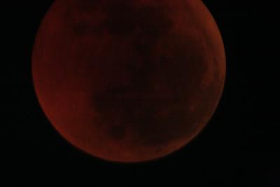img_8239.jpg
